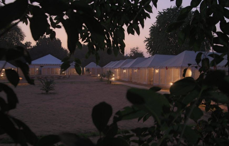 Rishikul Kumbh Cottages (Tent City)